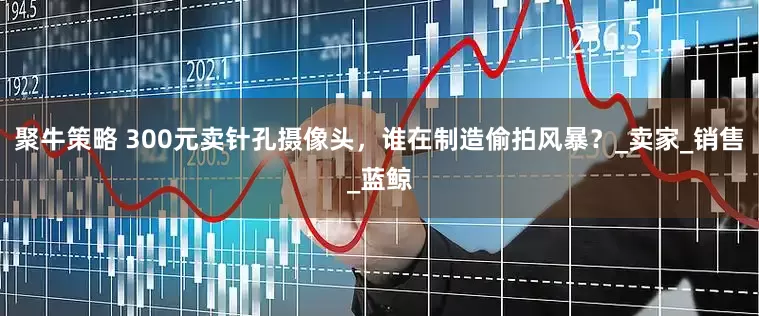 聚牛策略 300元卖针孔摄像头，谁在制造偷拍风暴？_卖家_销售_蓝鲸